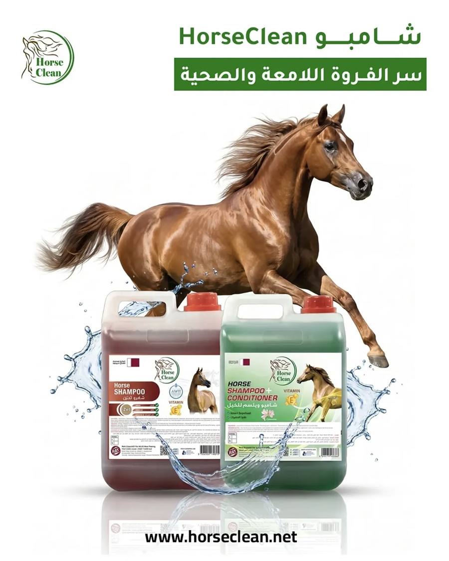 horseclean post