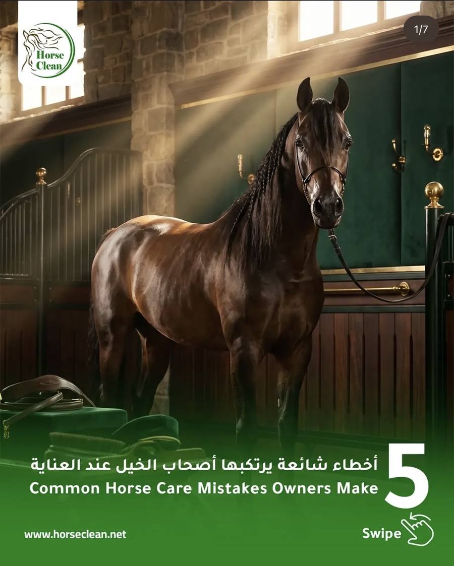 horseclean post