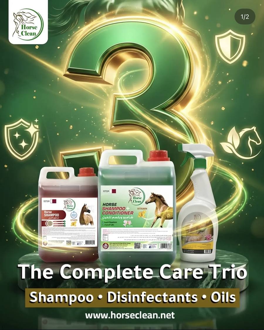 horseclean post